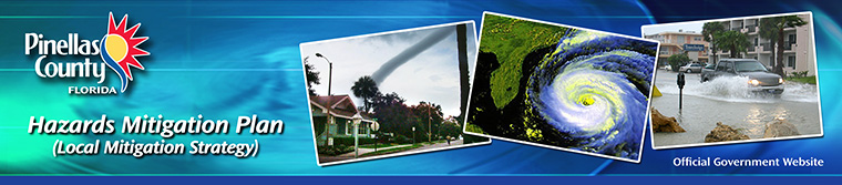 Pinellas County Local Mitigation Strategy - LMS homepage link